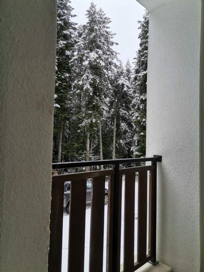 Studio A3 Borovets Gardens المظهر الخارجي الصورة
